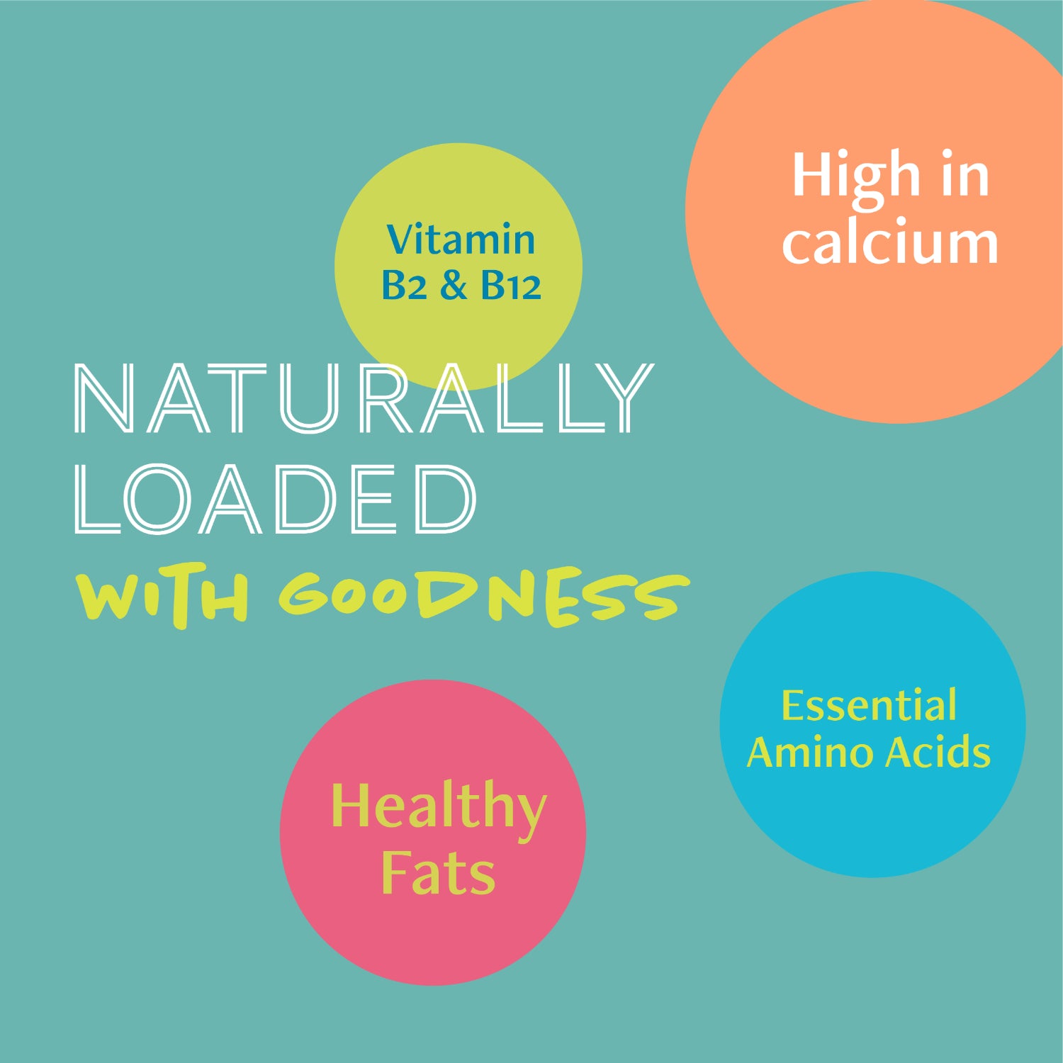 Daily Delight Moo Lactose-Free Pet Milk