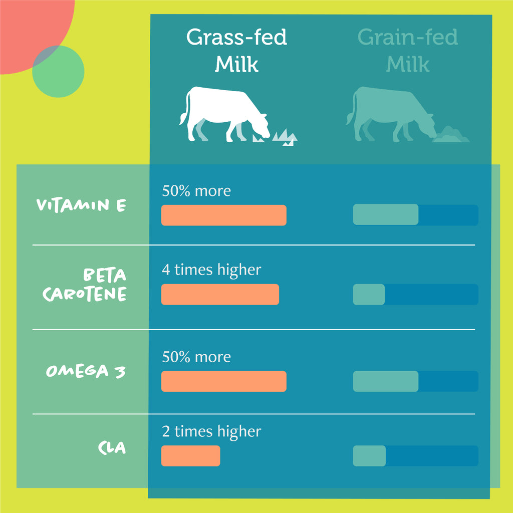 Daily Delight Moo Lactose-Free Pet Milk