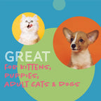 Daily Delight Moo Lactose-Free Pet Milk