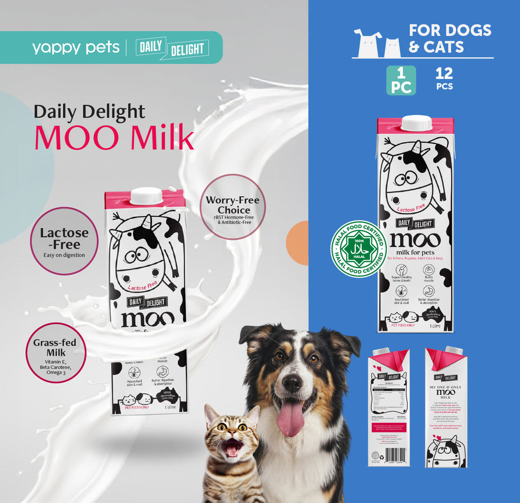 Daily Delight Moo Lactose-Free Pet Milk