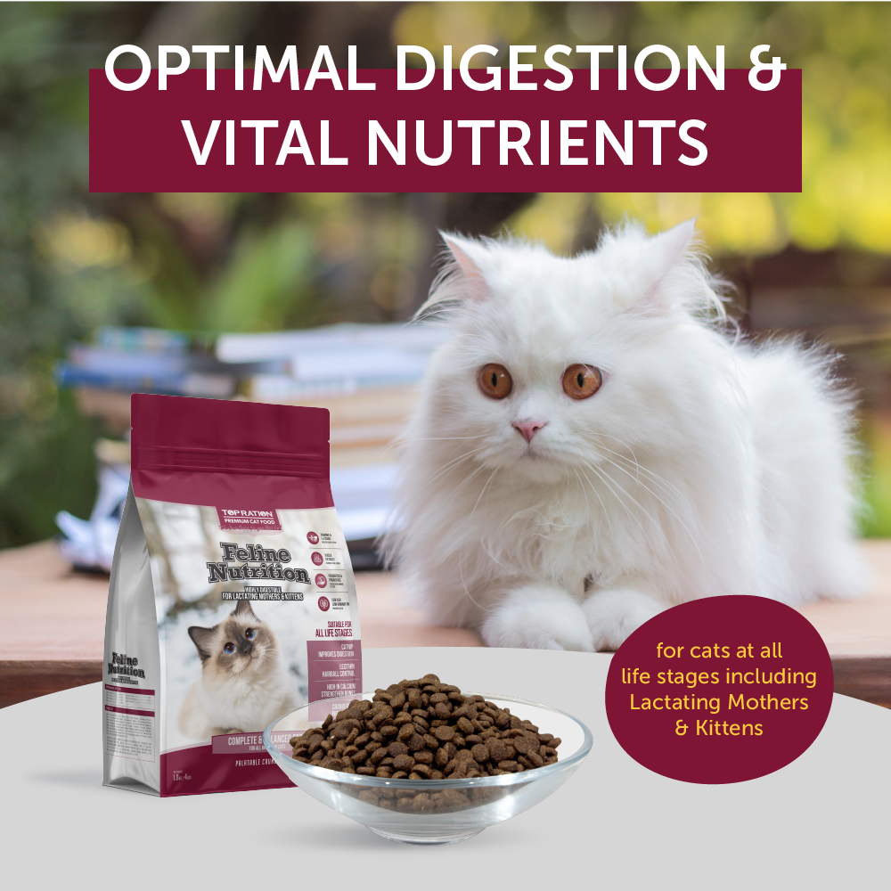 Top Ration Feline Nutrition Premium Dry Cat Food