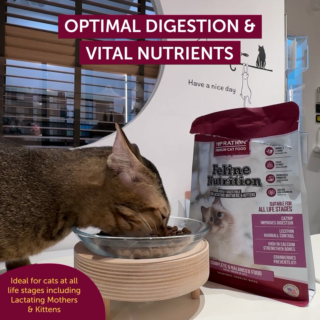 Top Ration Feline Nutrition Premium Dry Cat Food