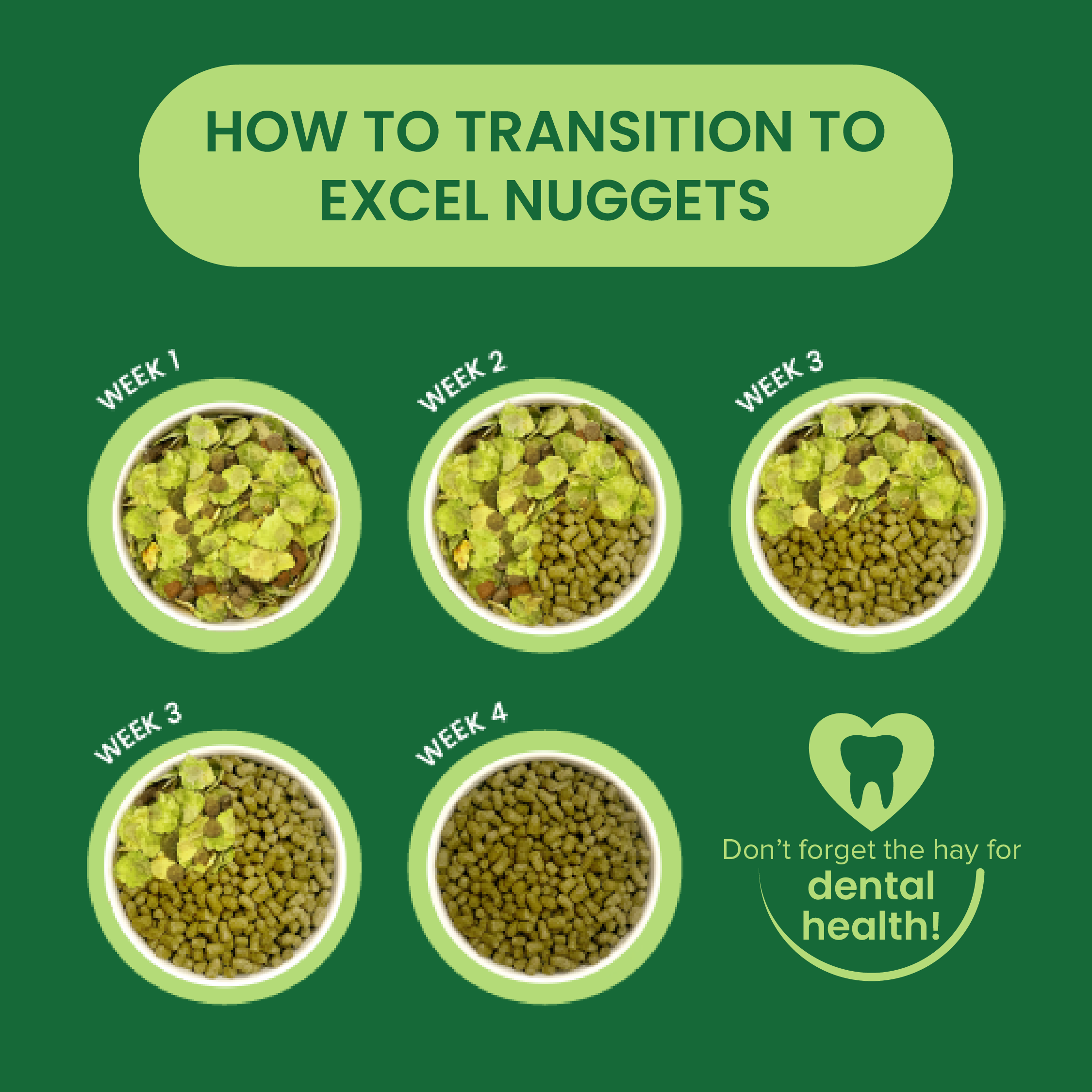 Burgess Excel Adult Rabbit Nuggets with Mint