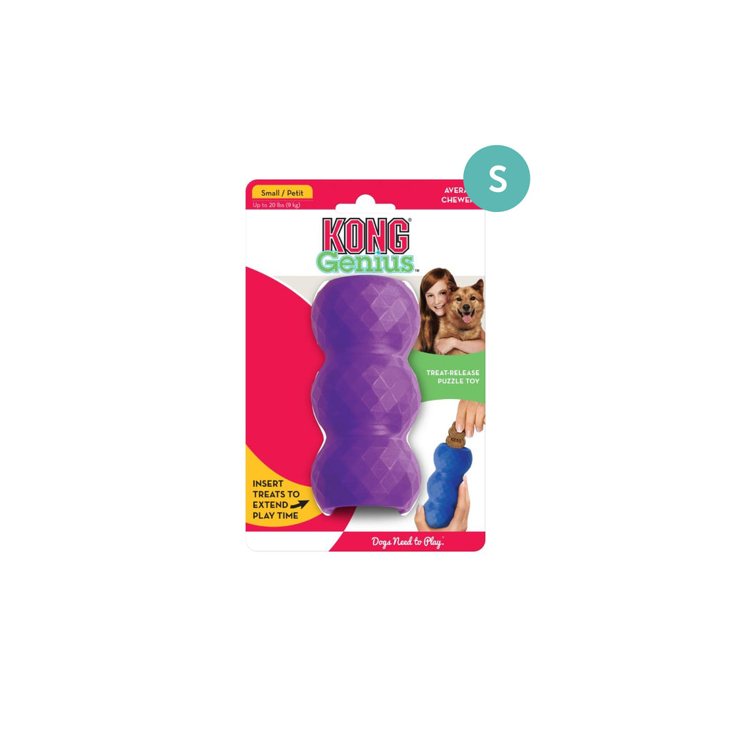 KONG Genius™ Mike Assorted