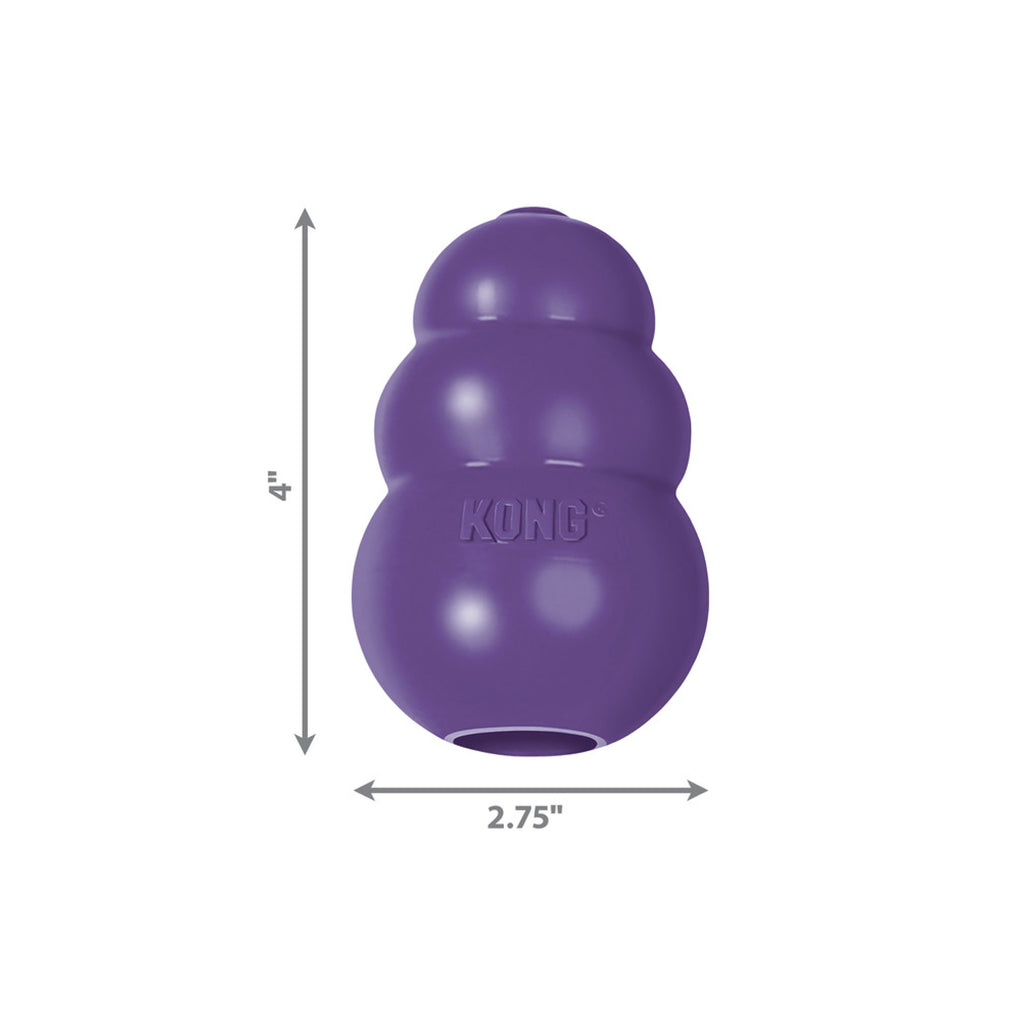 KONG Senior