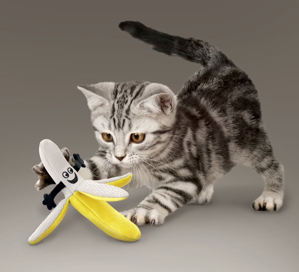 KONG Better Buzz Banana Assorted