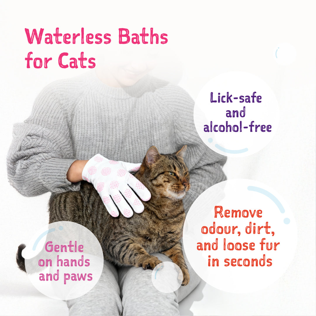 Loveabowl Clean-A-Cat Stress-free Pet Glove 10pcs
