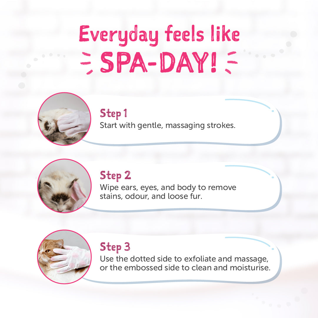 Loveabowl Clean-A-Cat Stress-free Pet Glove 10pcs
