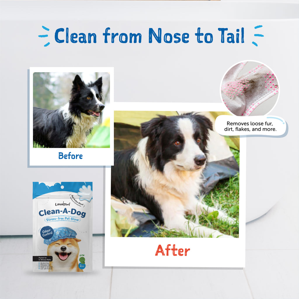 Loveabowl Clean-A-Dog Stress-free Pet Glove 2pcs
