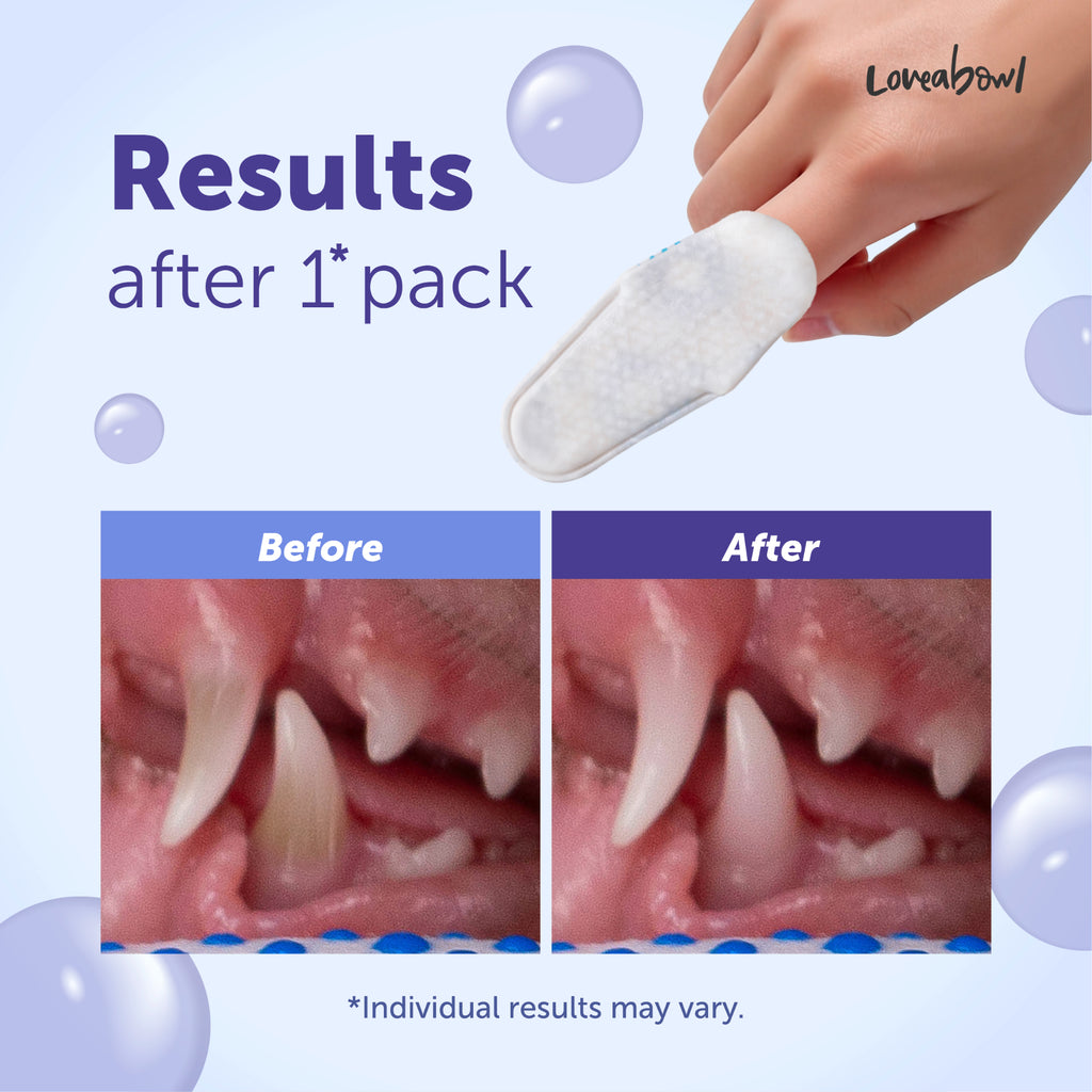 Loveabowl Clean-A-Tooth Dogs Dental Cleaning Wipes