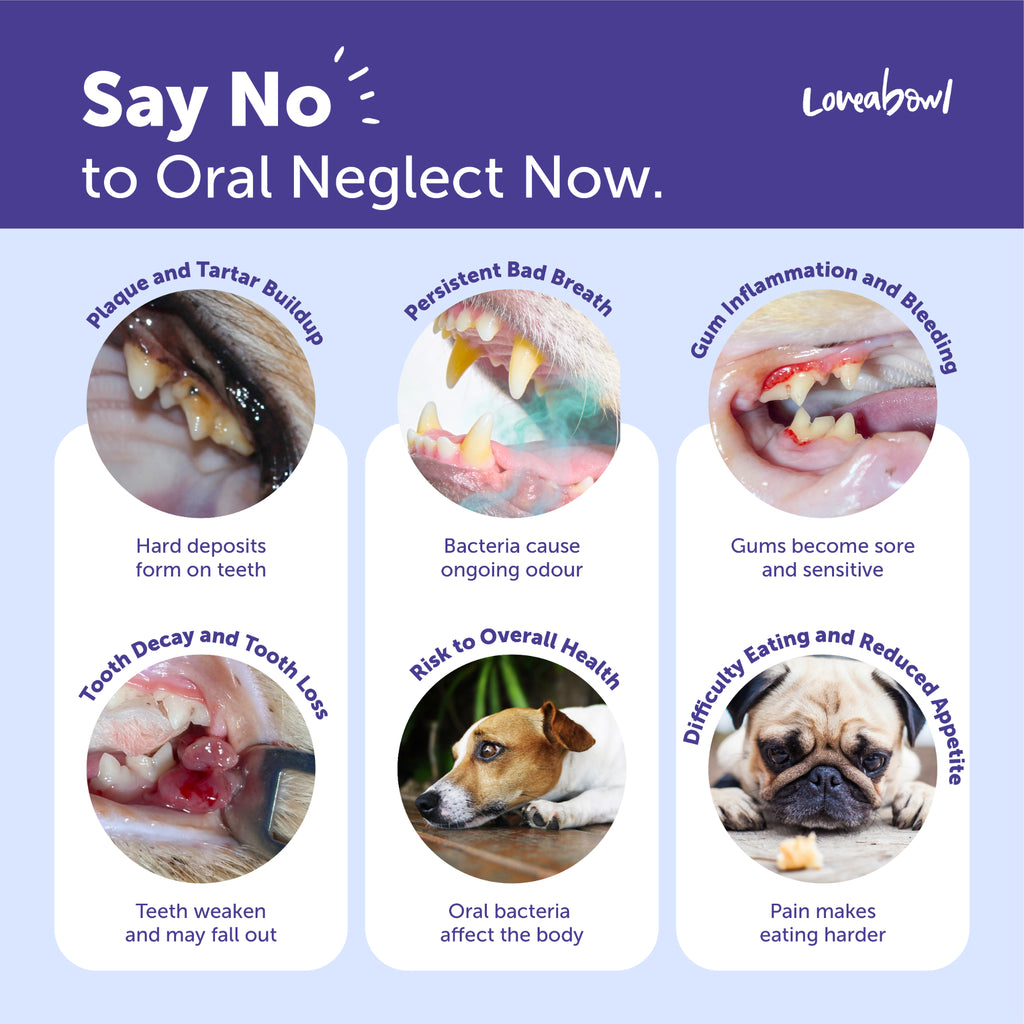 Loveabowl Clean-A-Tooth Dogs Dental Cleaning Wipes