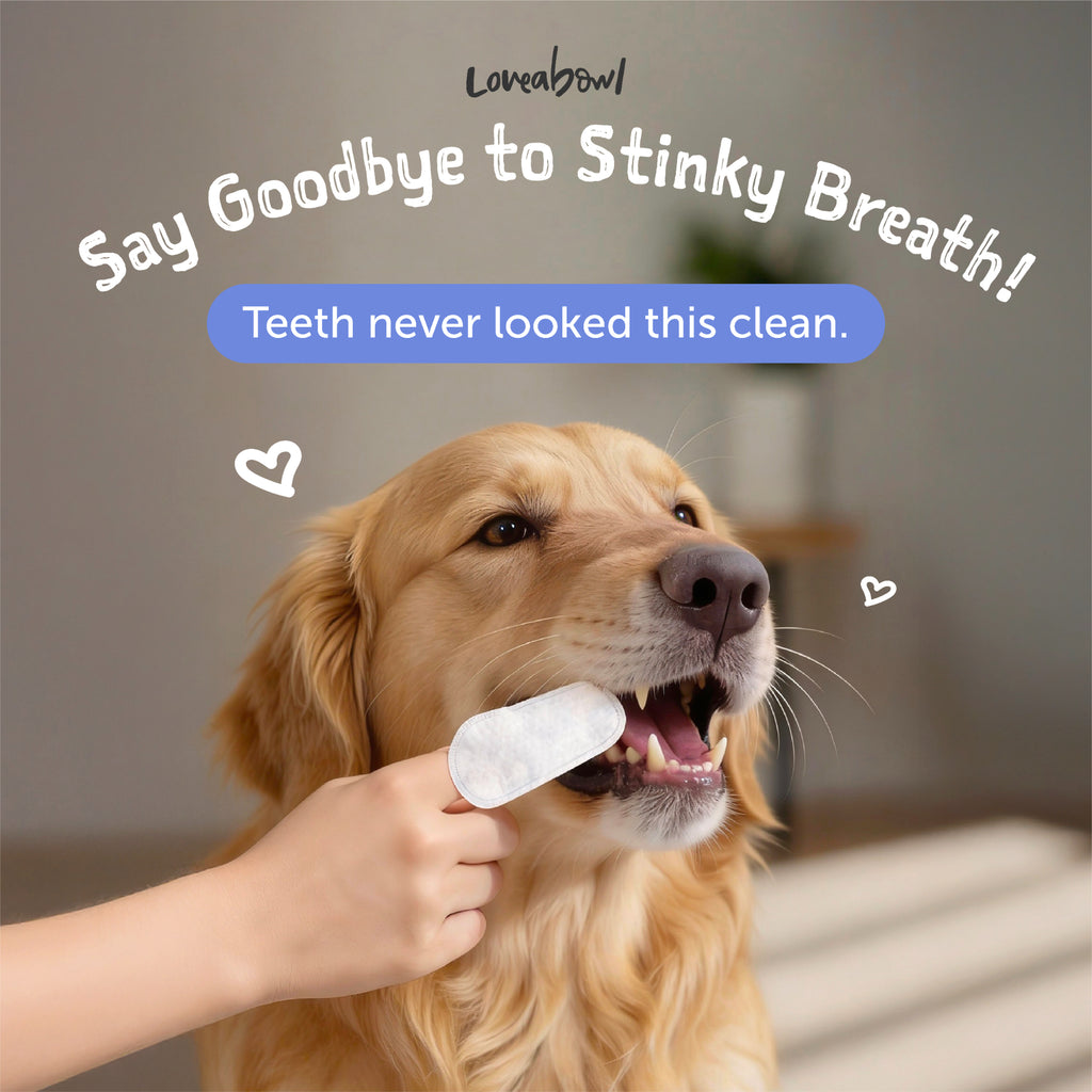Loveabowl Clean-A-Tooth Dogs Dental Cleaning Wipes