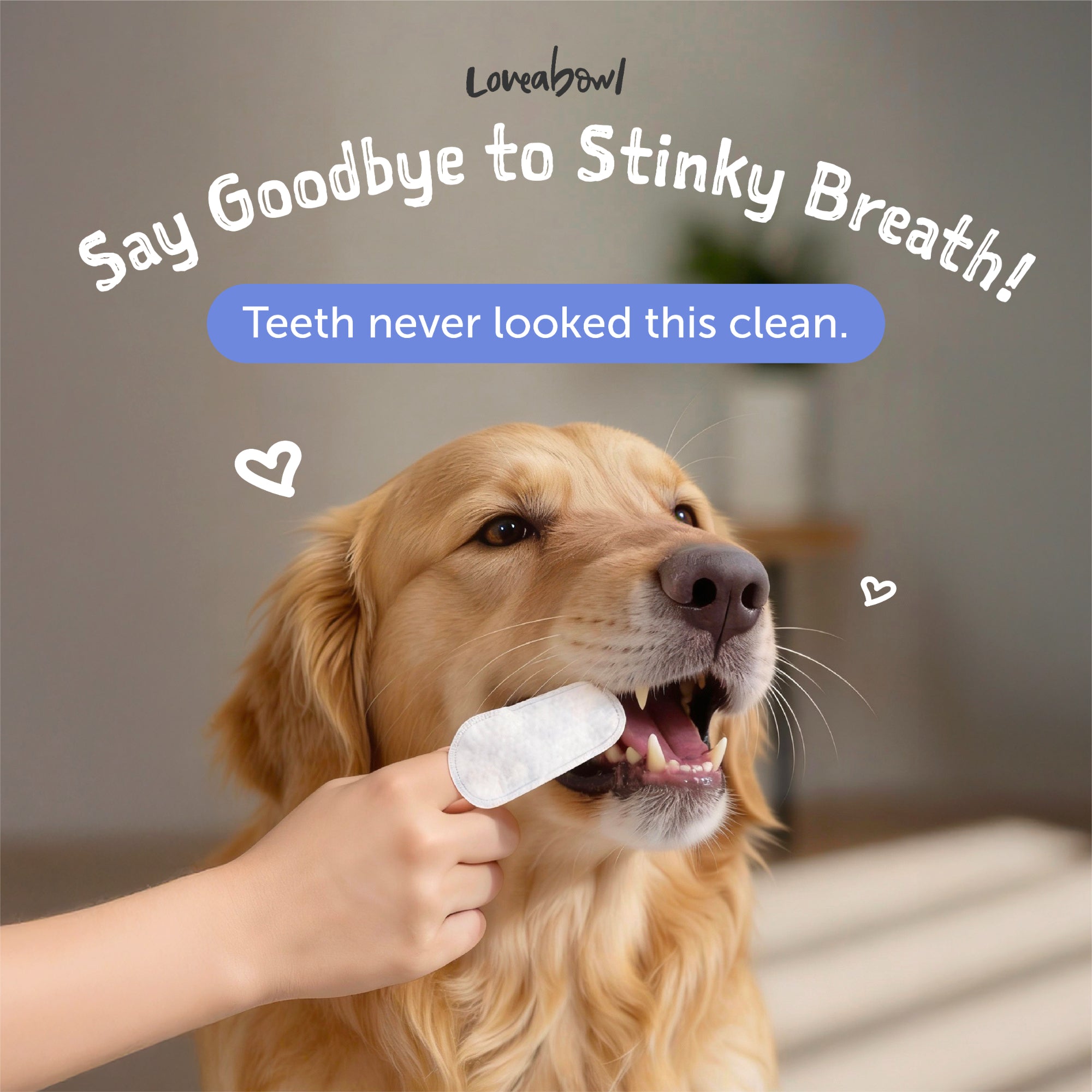 Loveabowl Clean-A-Tooth Dogs Dental Cleaning Wipes