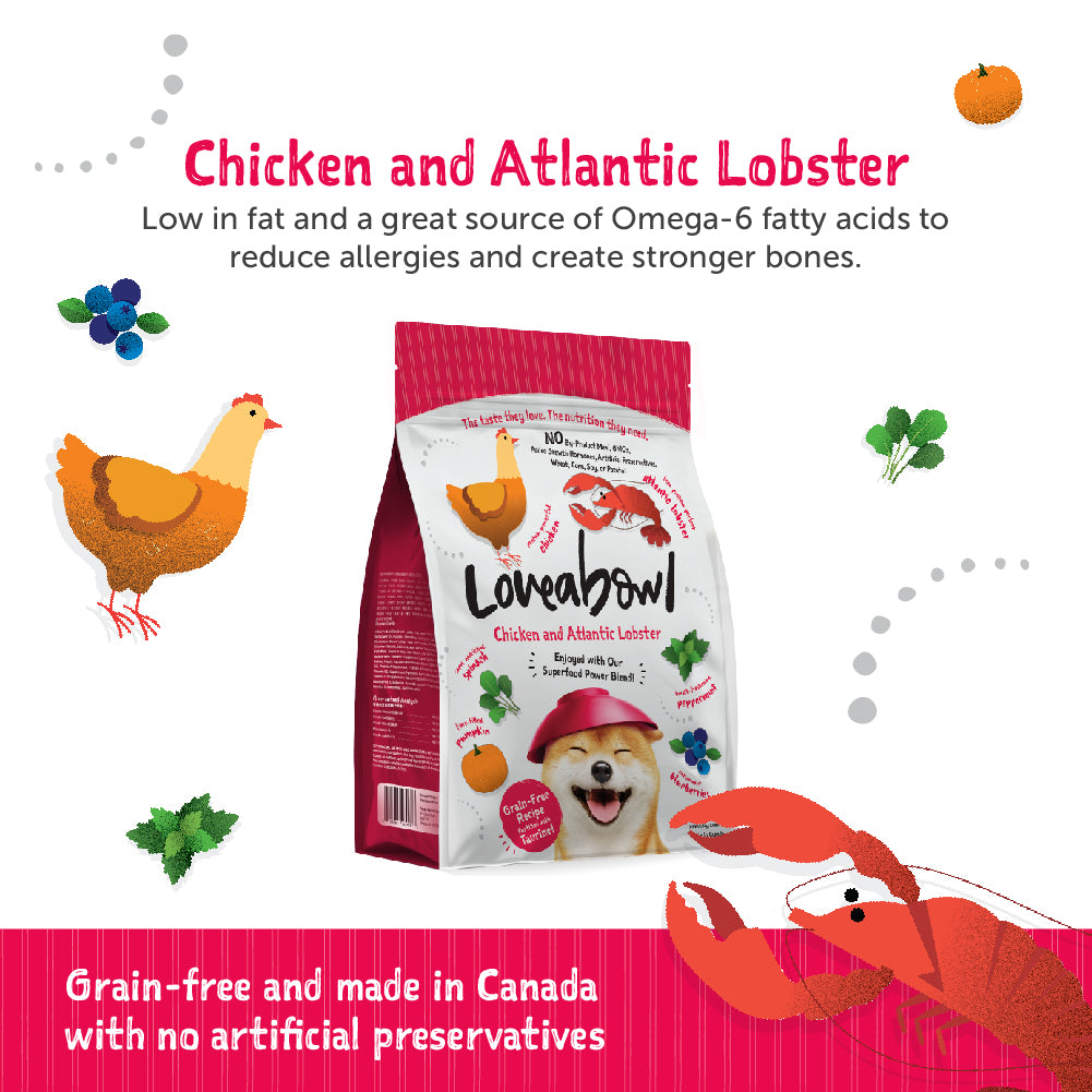 Loveabowl Grain Free Dry Dog Food