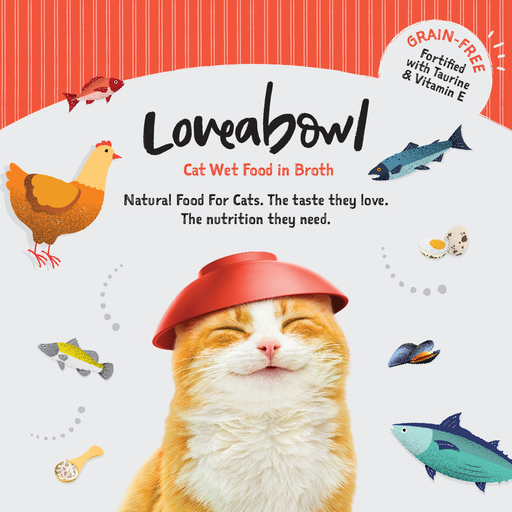 Loveabowl Broth Wet Cat Food