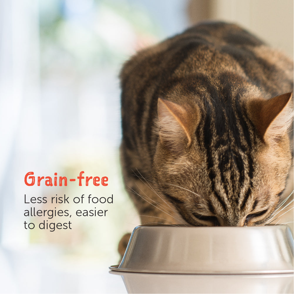Loveabowl Broth Wet Cat Food