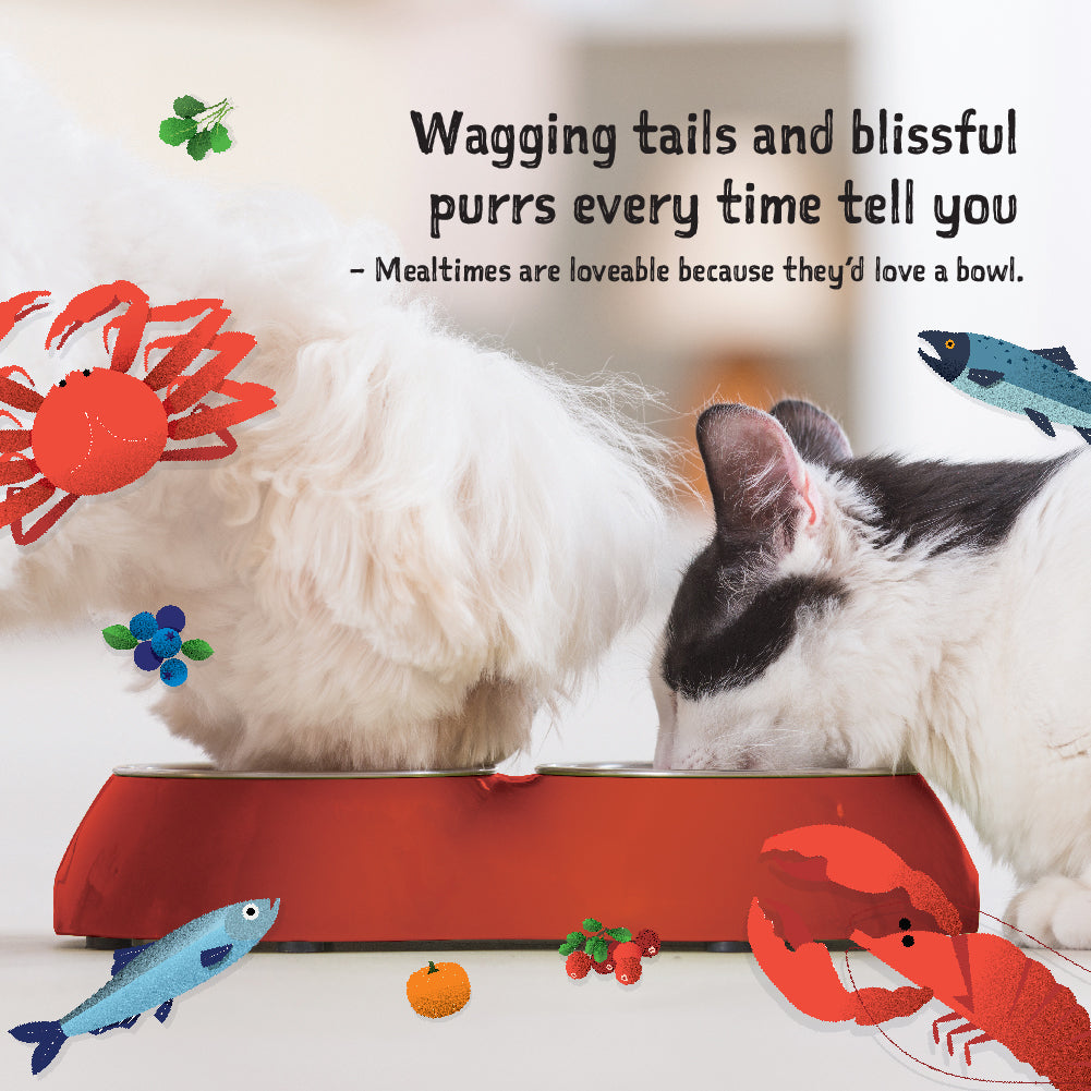 Loveabowl Grain Free Dry Cat Food