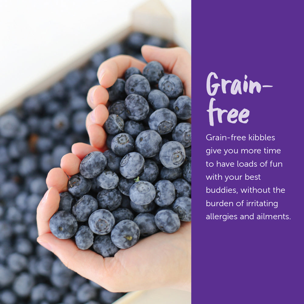 Loveabowl Grain Free Dry Cat Food