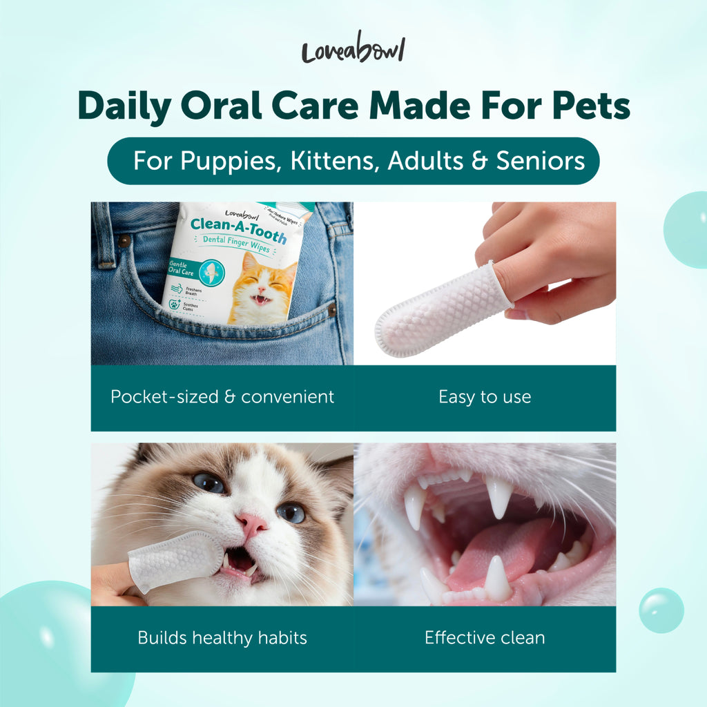 Loveabowl Clean-A-Tooth Cats Dental Cleaning Wipes