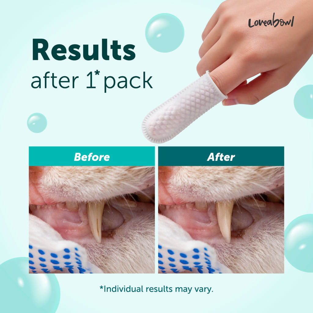 Loveabowl Clean-A-Tooth Cats Dental Cleaning Wipes
