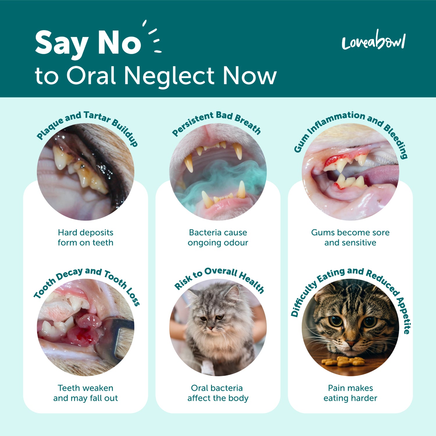 Loveabowl Clean-A-Tooth Cats Dental Cleaning Wipes