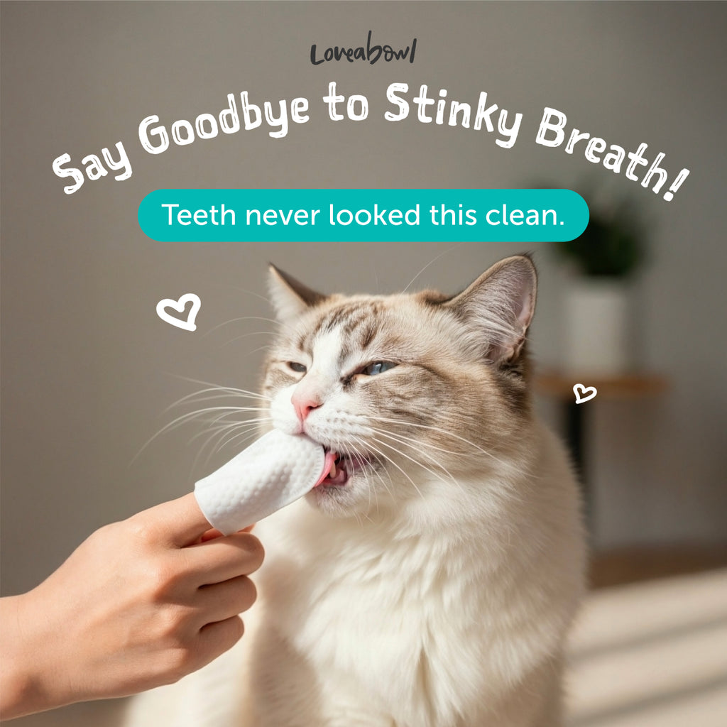 Loveabowl Clean-A-Tooth Cats Dental Cleaning Wipes