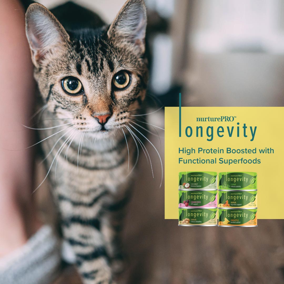 NurturePRO Longevity Chicken & Skipjack Tuna Wet Cat Food