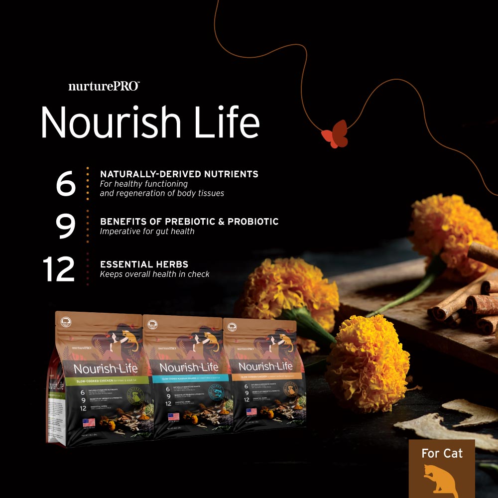 NurturePRO Nourish Life Slow Cooked Dry Cat Food