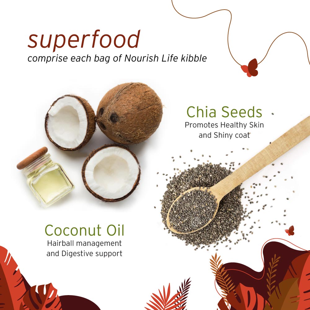 NurturePRO Nourish Life Slow Cooked Dry Cat Food