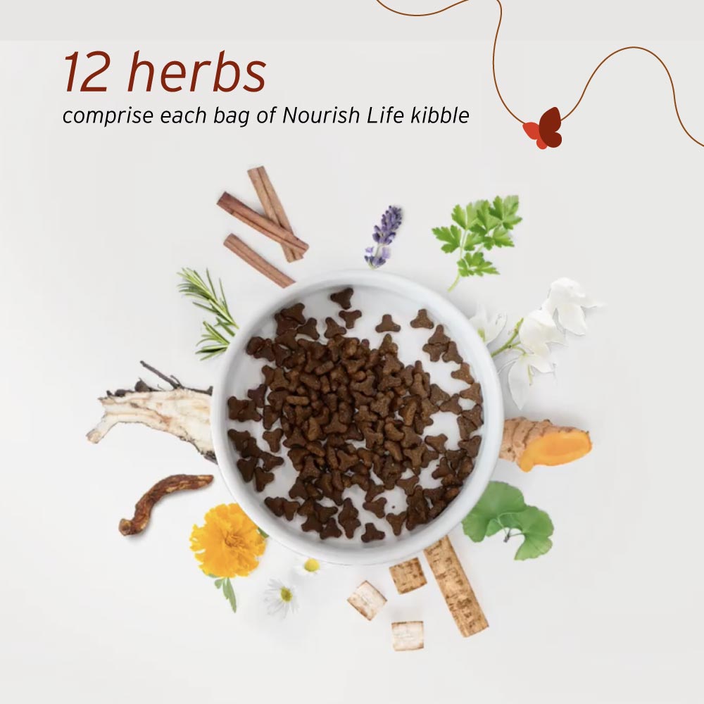 NurturePRO Nourish Life Slow Cooked Dry Cat Food