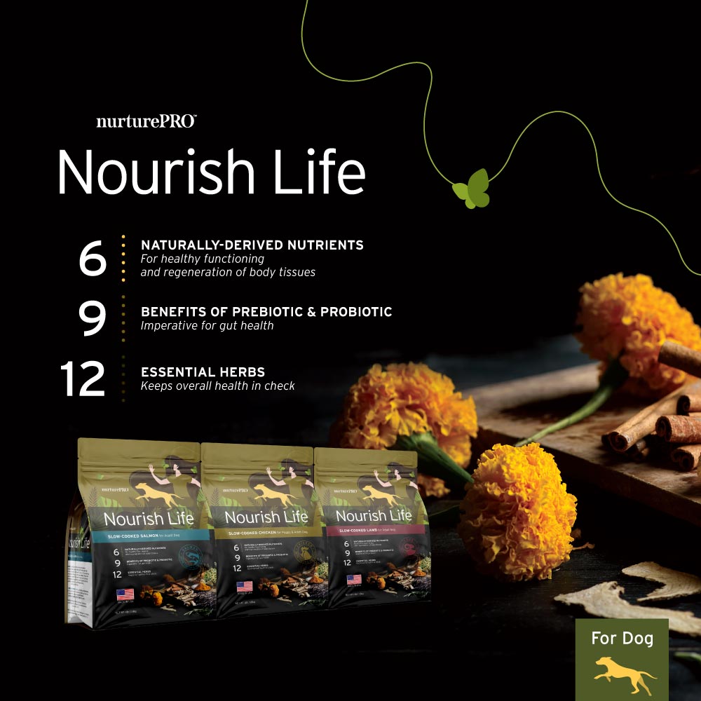 NurturePRO Nourish Life Slow Cooked Dry Dog Food