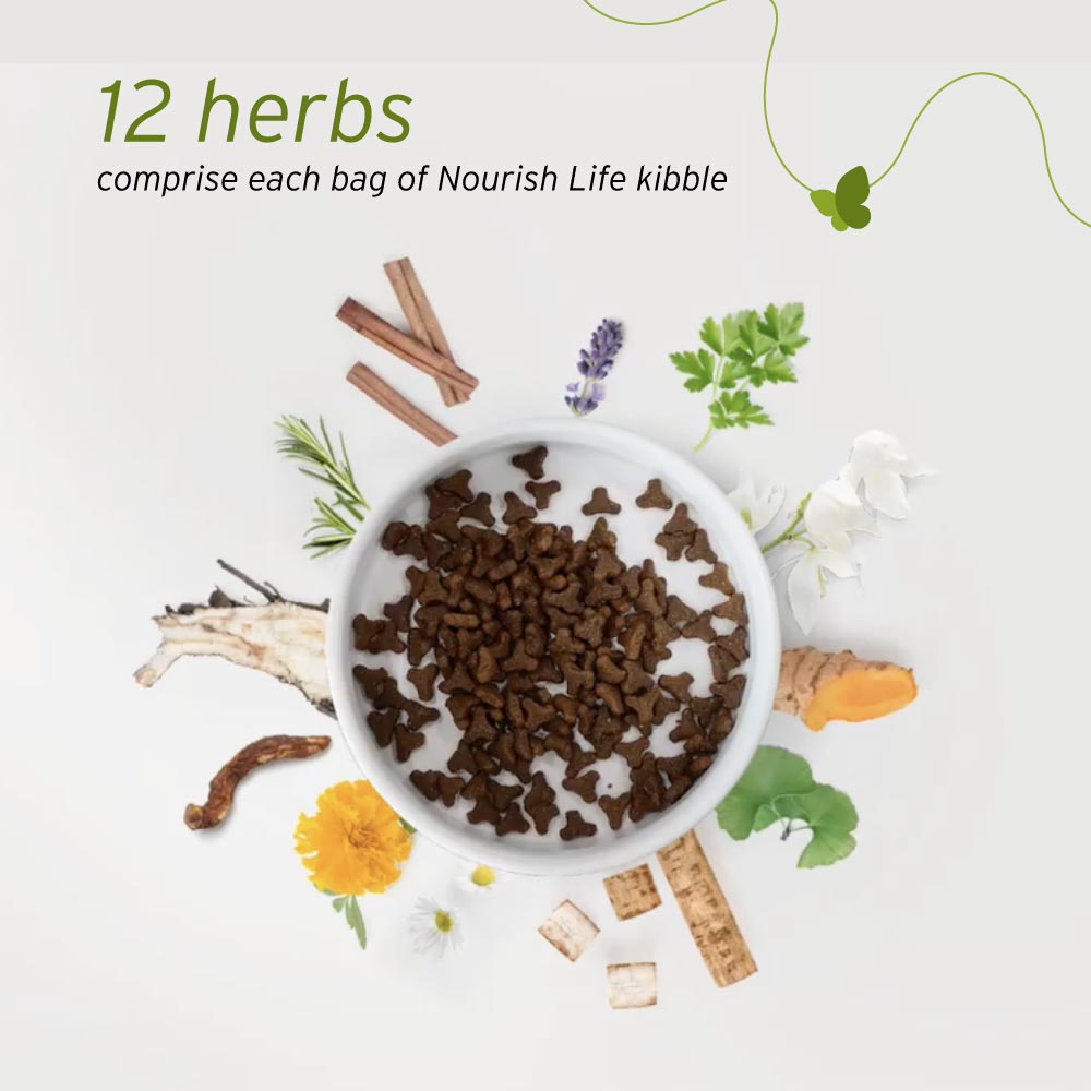 NurturePRO Nourish Life Slow Cooked Dry Dog Food