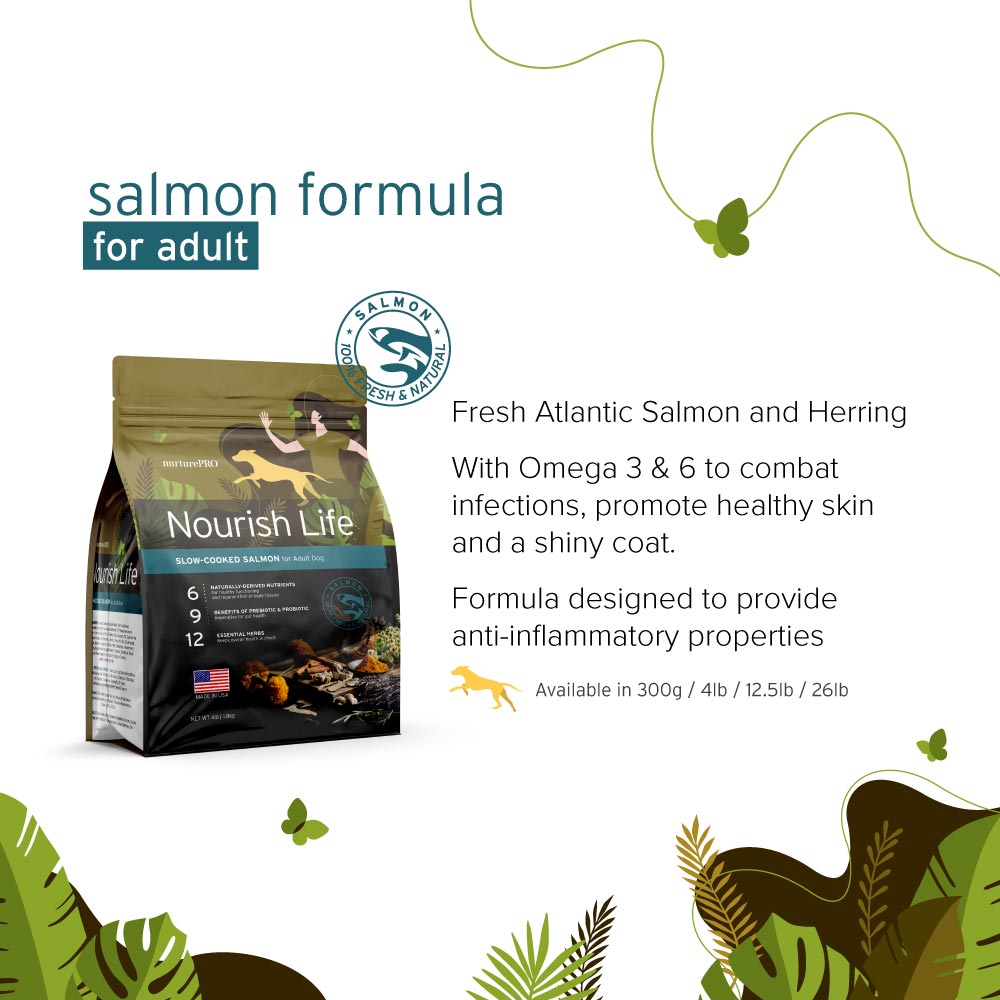 NurturePRO Nourish Life Slow Cooked Dry Dog Food