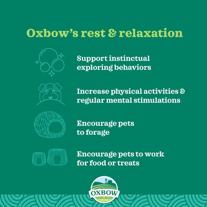 Oxbow Enriched Life Play Post for Small Pets