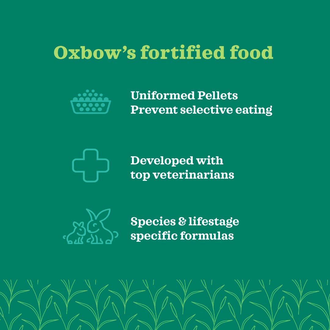 Oxbow Essentials Senior Rabbit Food
