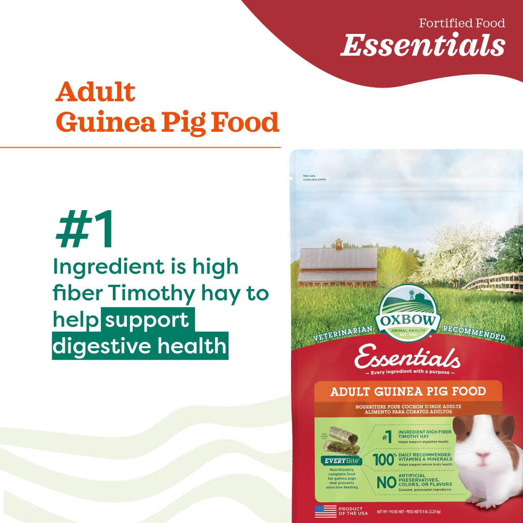 Oxbow Essentials Adult Guinea Pig Food