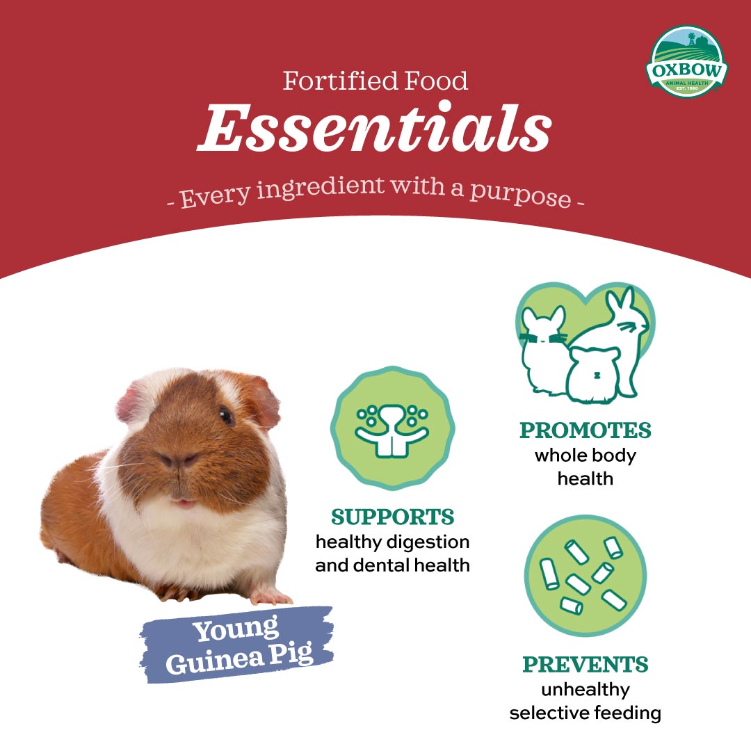 Oxbow Essentials Young Guinea Pig Food