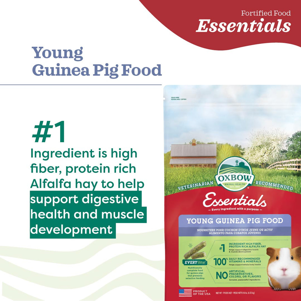 Oxbow Essentials Young Guinea Pig Food