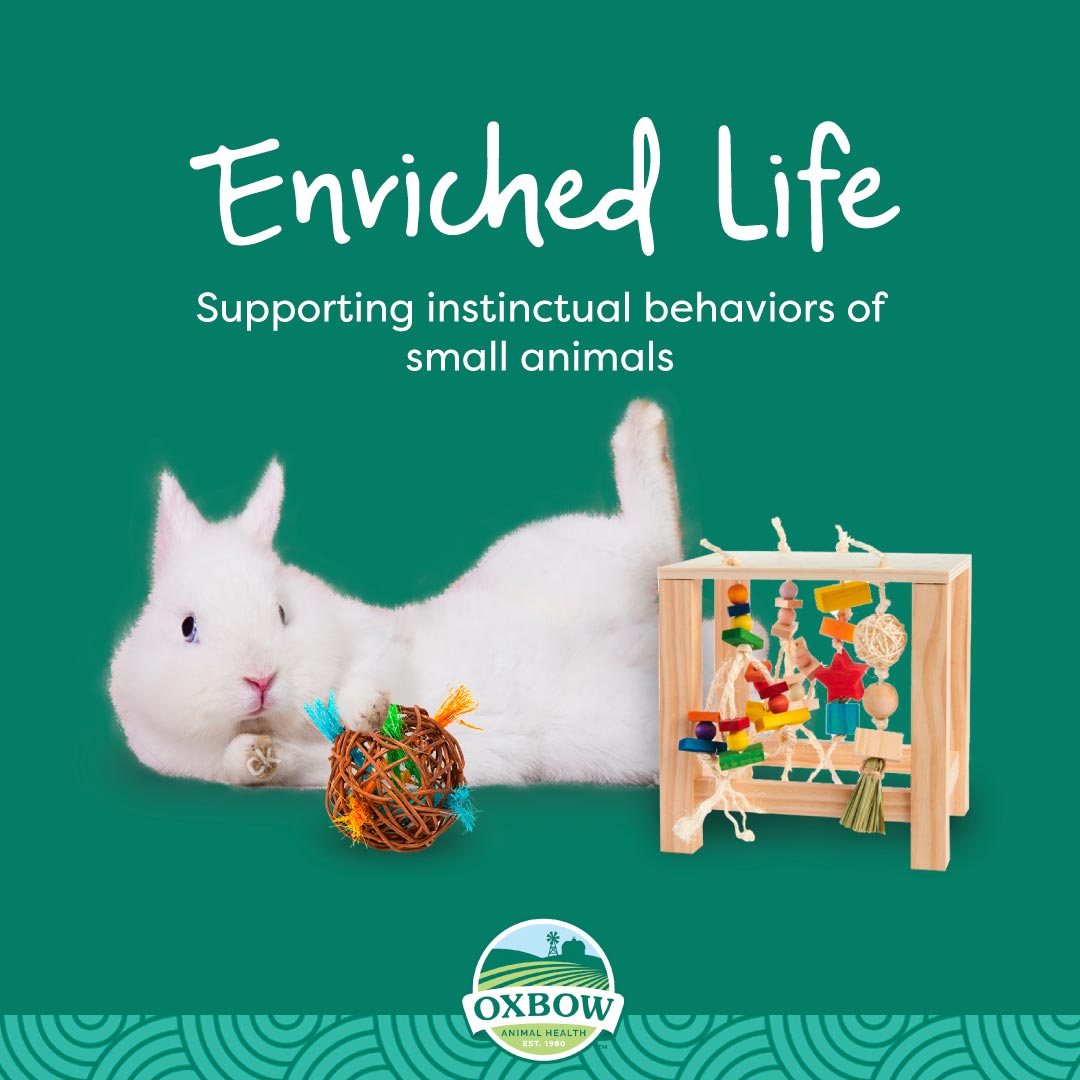 Oxbow Enriched Life Timbells