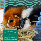 Oxbow Oat Hay