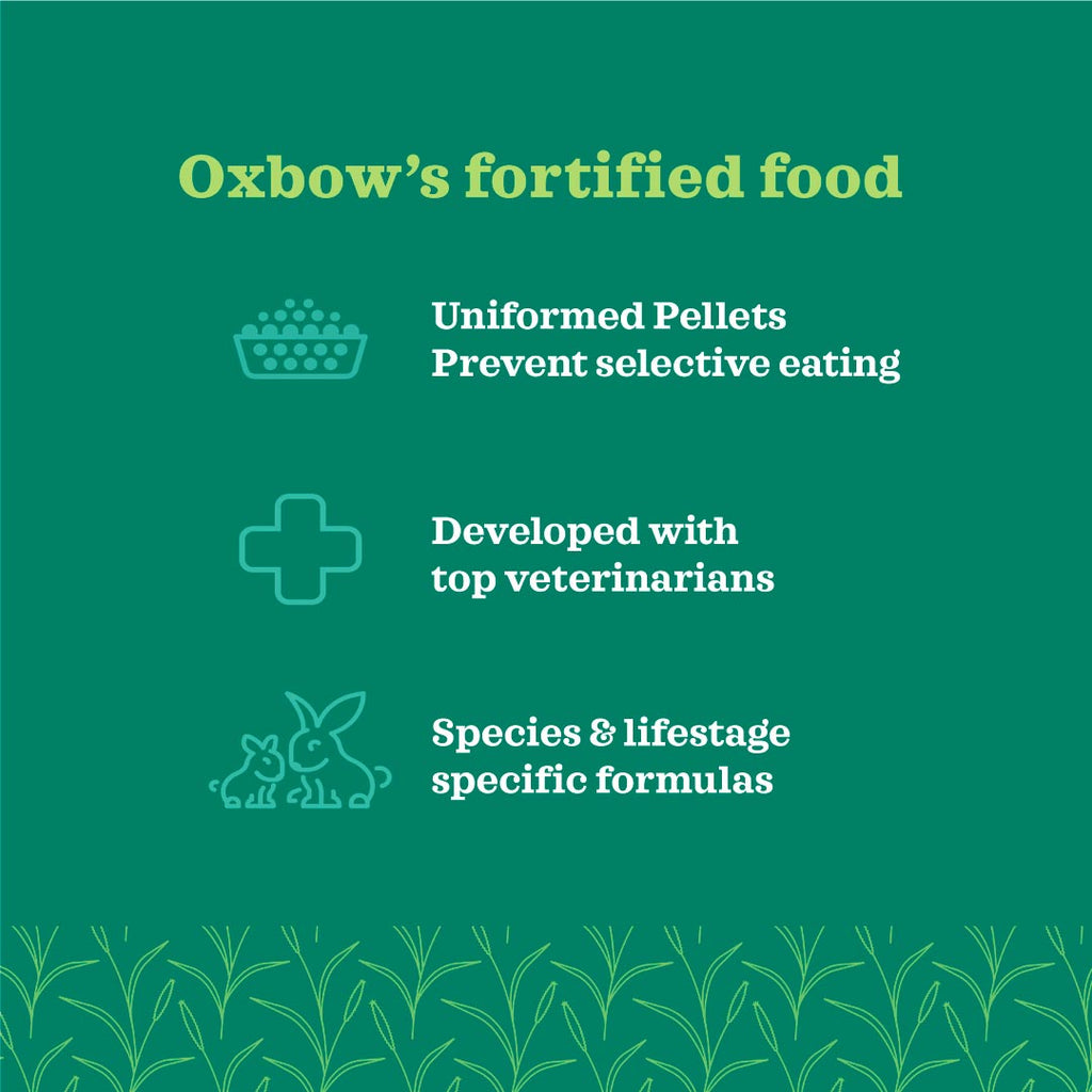 Oxbow Organic Bounty Adult Rabbit