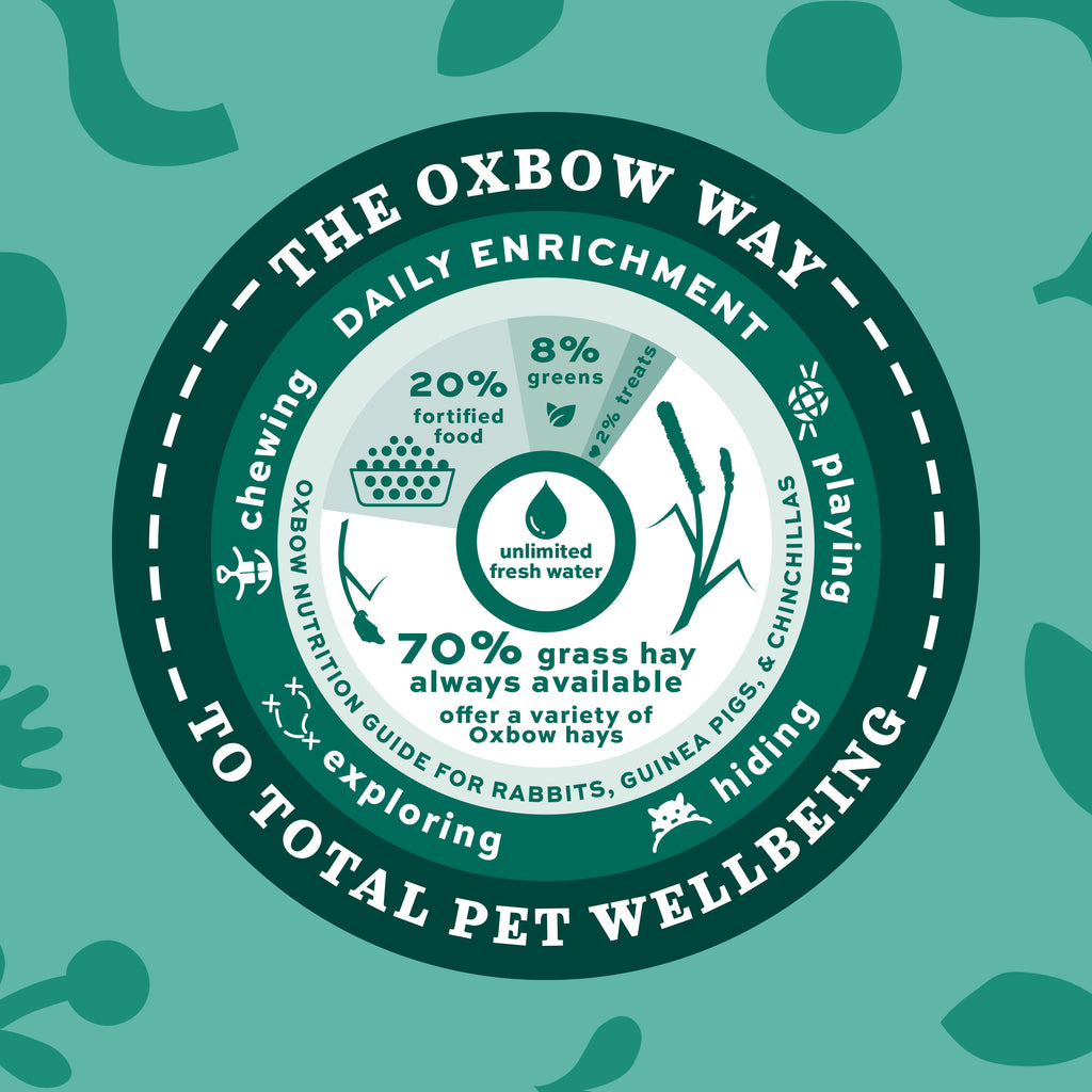 Oxbow Orchard Grass