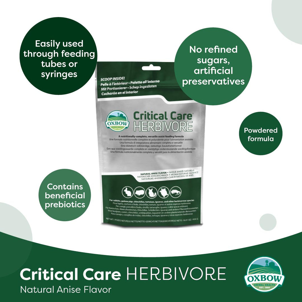 Oxbow Critical Care Herbivore Anise