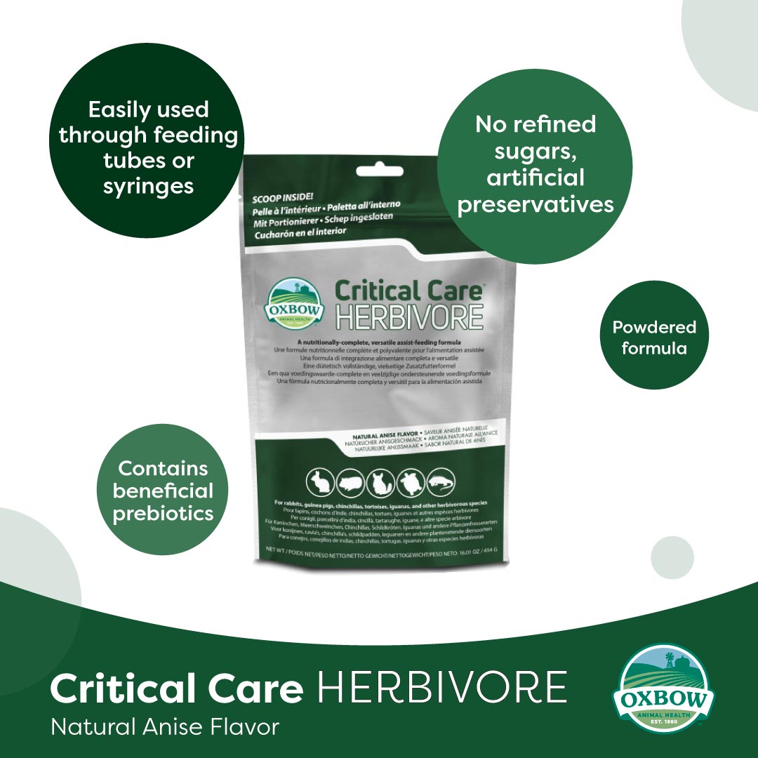 Oxbow Critical Care Herbivore Anise