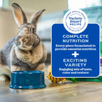 Oxbow Forage Wise Inspired Adult Rabbit Food