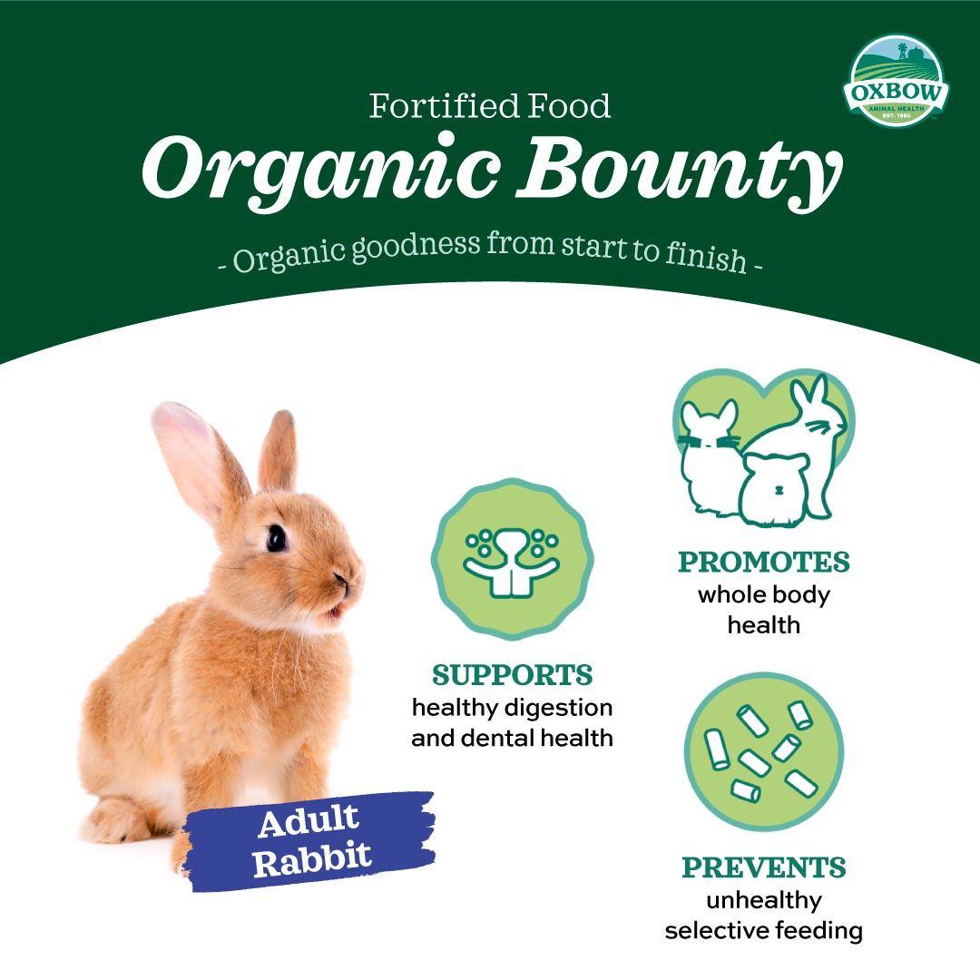 Oxbow Organic Bounty Adult Rabbit