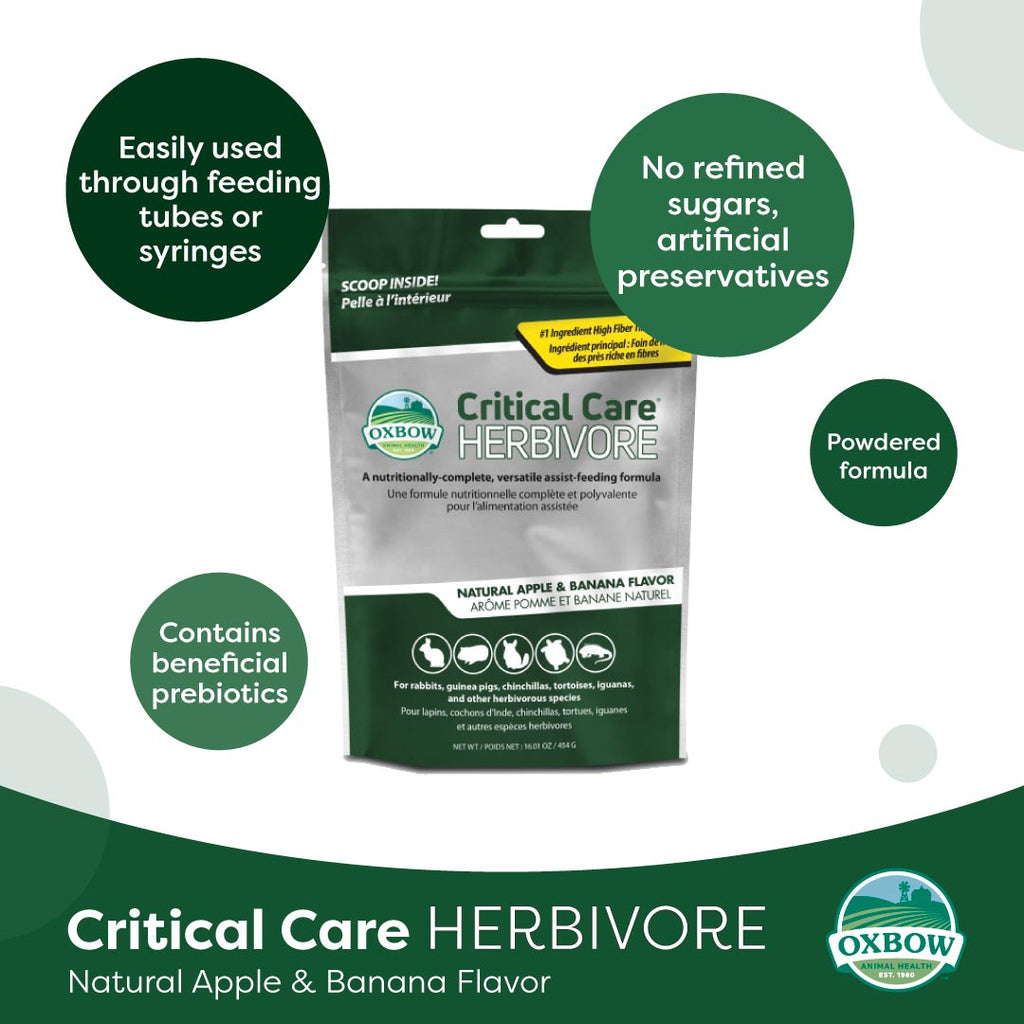 Oxbow Critical Care Herbivore Apple & Banana