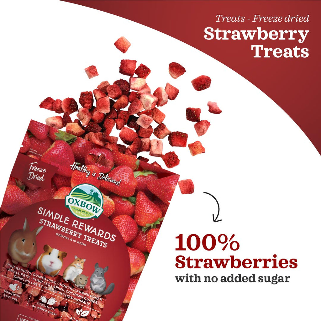 Oxbow Simple Rewards Strawberry Treats