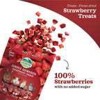 Oxbow Simple Rewards Strawberry Treats