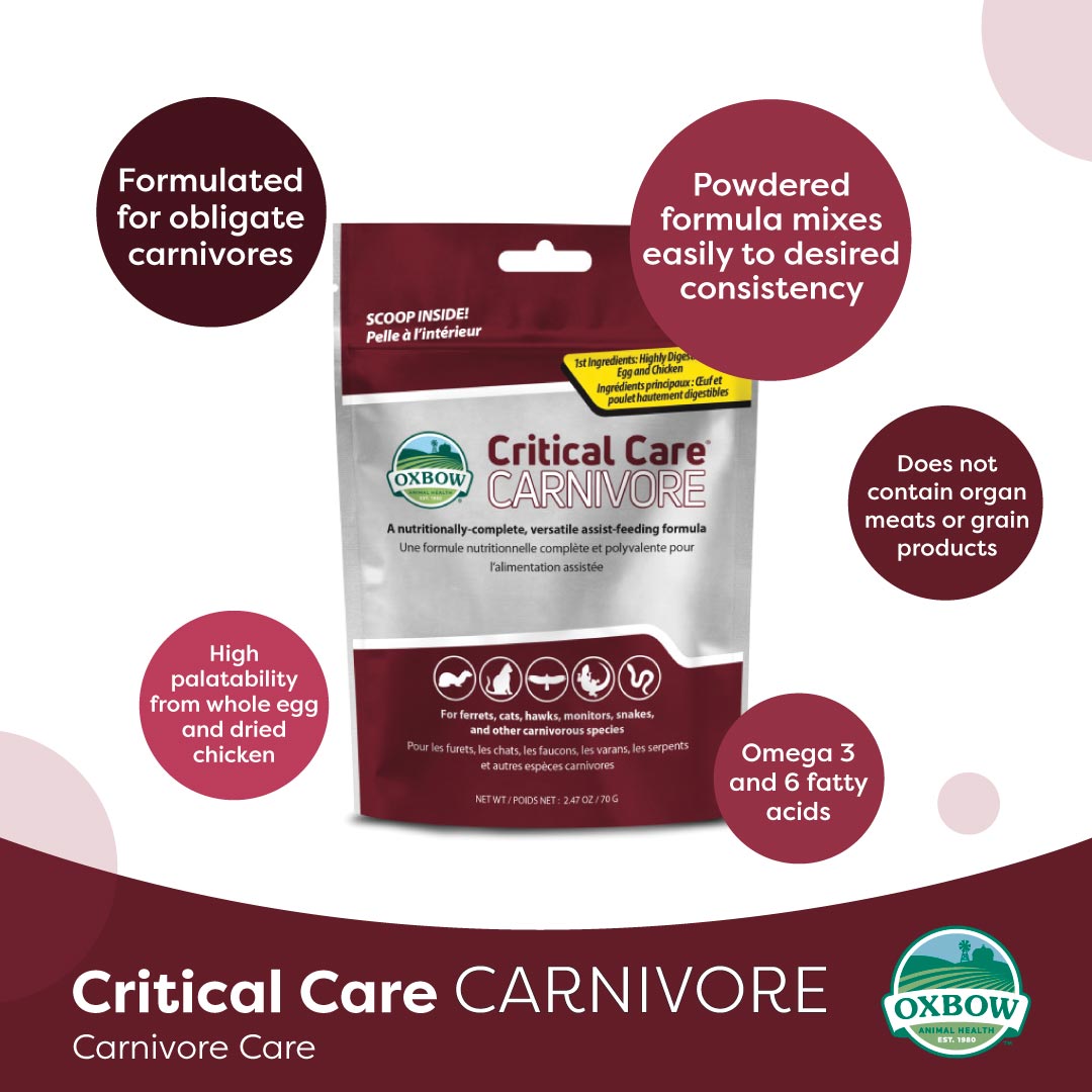 Oxbow Critical Care Carnivore